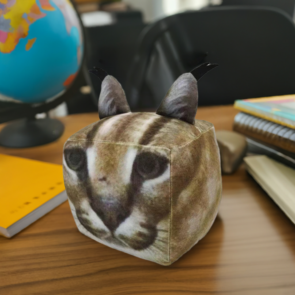 Cube Cat Plush Toy - 18cm